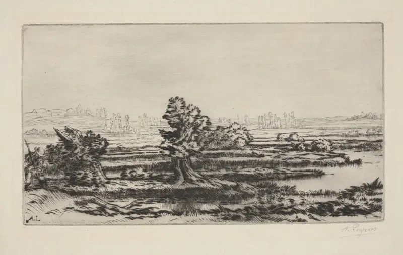 Peat-bogs av Alphonse Legros
