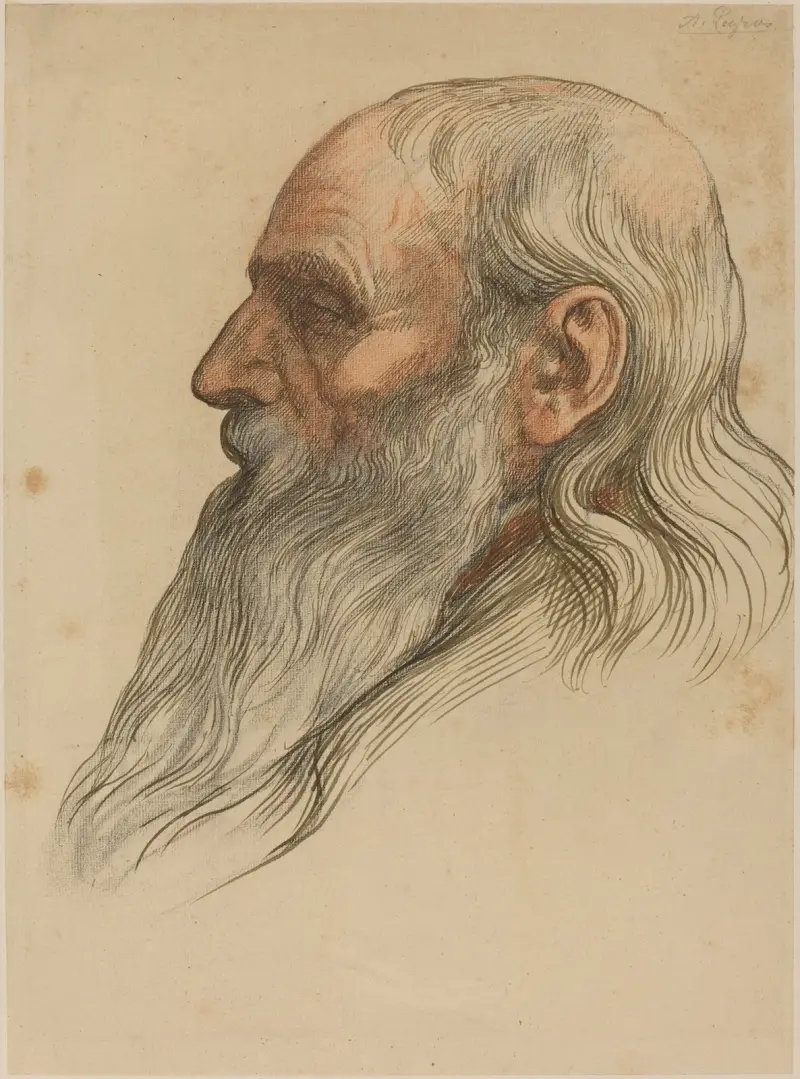 Studie av en mans huvud med helskägg av Alphonse Legros
