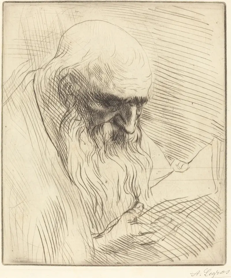 Studie av huvudet på en läsande man av Alphonse Legros