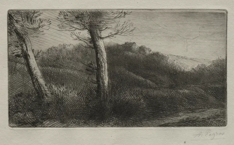 Resenären utsträckt i gräset av Alphonse Legros