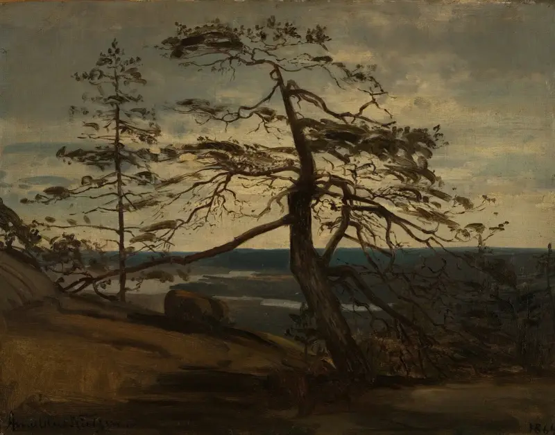 Fjellfuru, Setesdal av Amaldus Nielsen