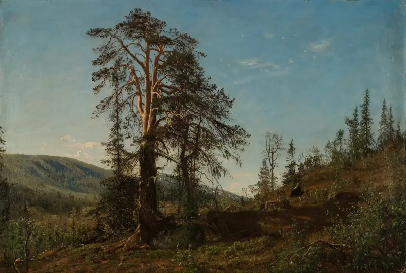 I Vingeråsheia, Telemark av Amaldus Nielsen
