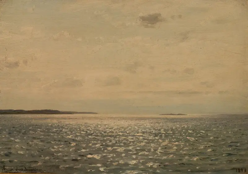 Solglitter av Amaldus Nielsen