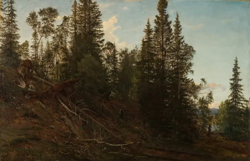 Vingeråsheia, Telemark av Amaldus Nielsen