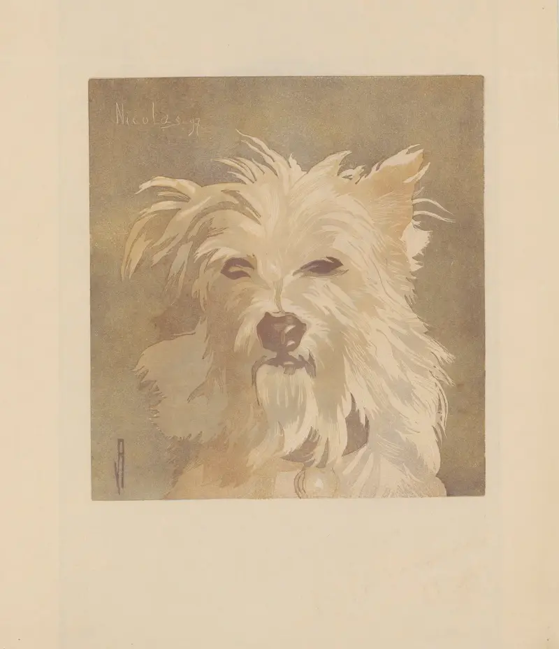 Nicolas ; (Tête de chien) av Amédée Joyau