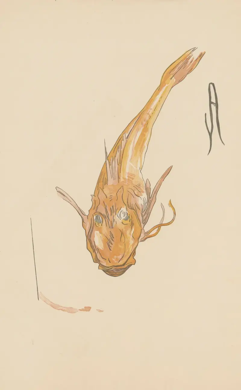 Rouget-Grondin, 1900 – Nr. 2, Amédée Joyau