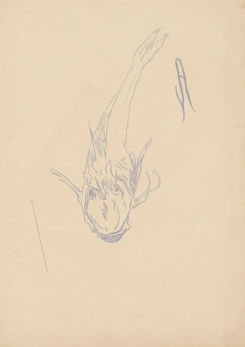 Rouget-Grondin, 1900 – Nr. 1, Amédée Joyau