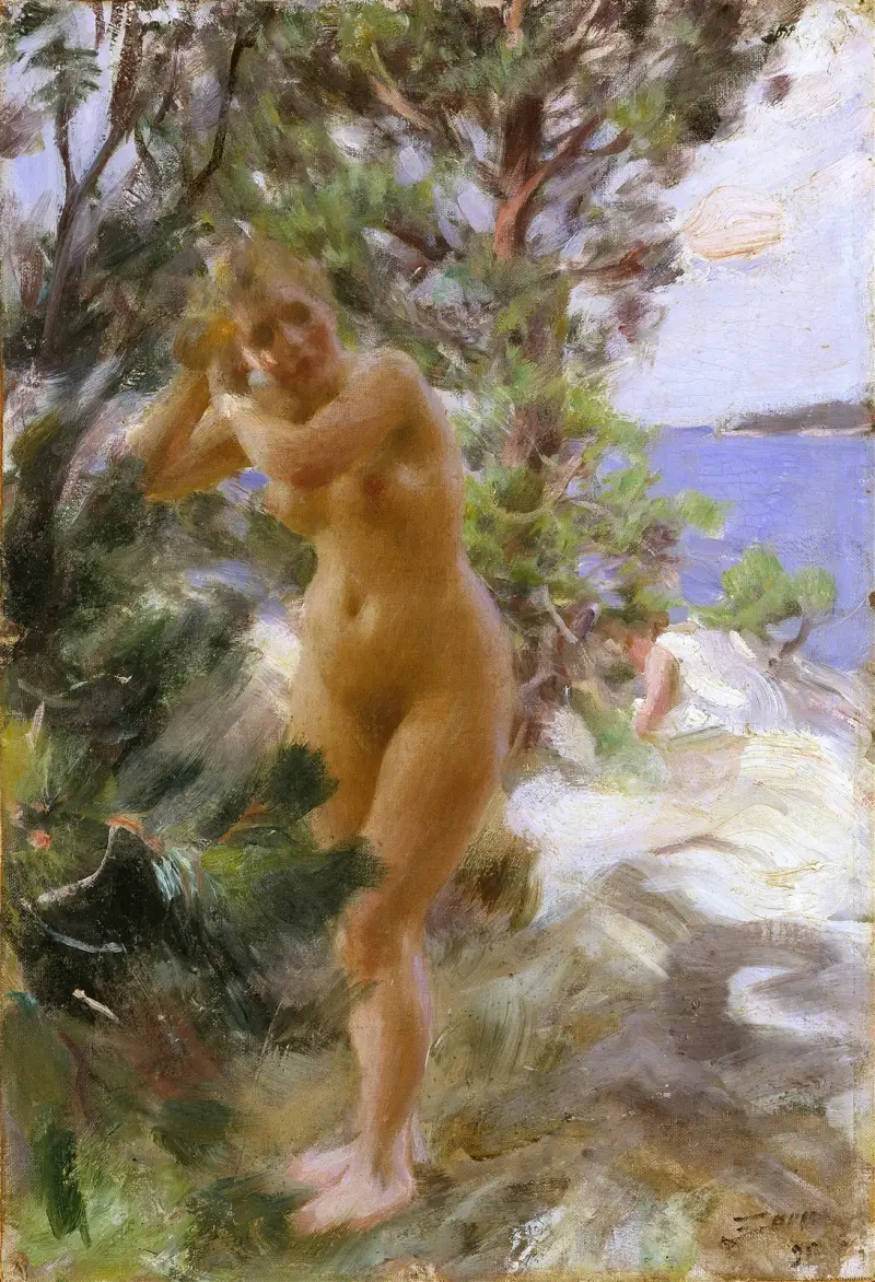 Po koupeli, Anders Zorn