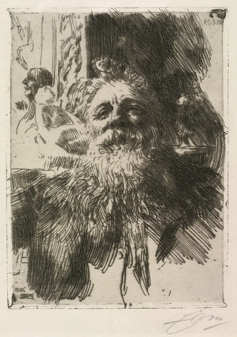 Auguste Rodin, Anders Zorn