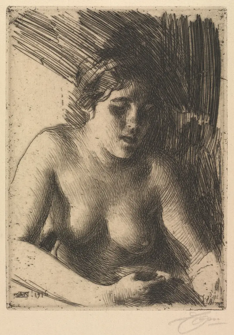 Popiersie, Anders Zorn