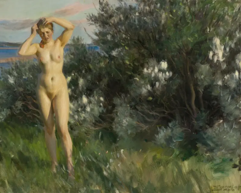 Am Siljansee von Anders Zorn