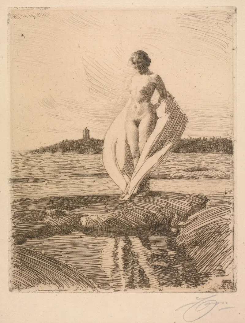 Labuť, Anders Zorn