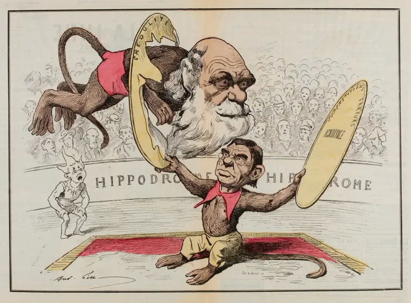 Darwin, André Gill