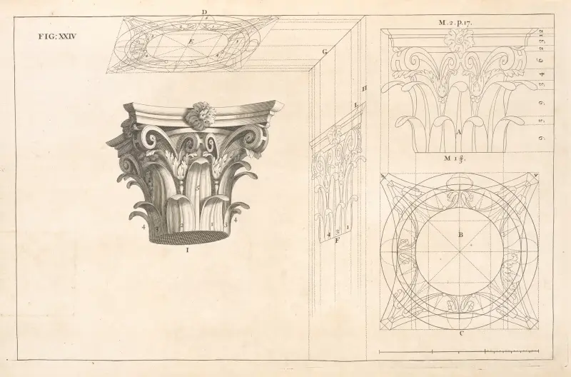 The Corinthian capital in perspective av Andrea Pozzo