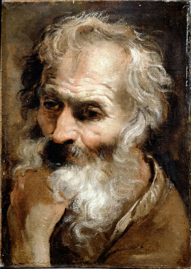 Head of an Old Man av Annibale Carracci