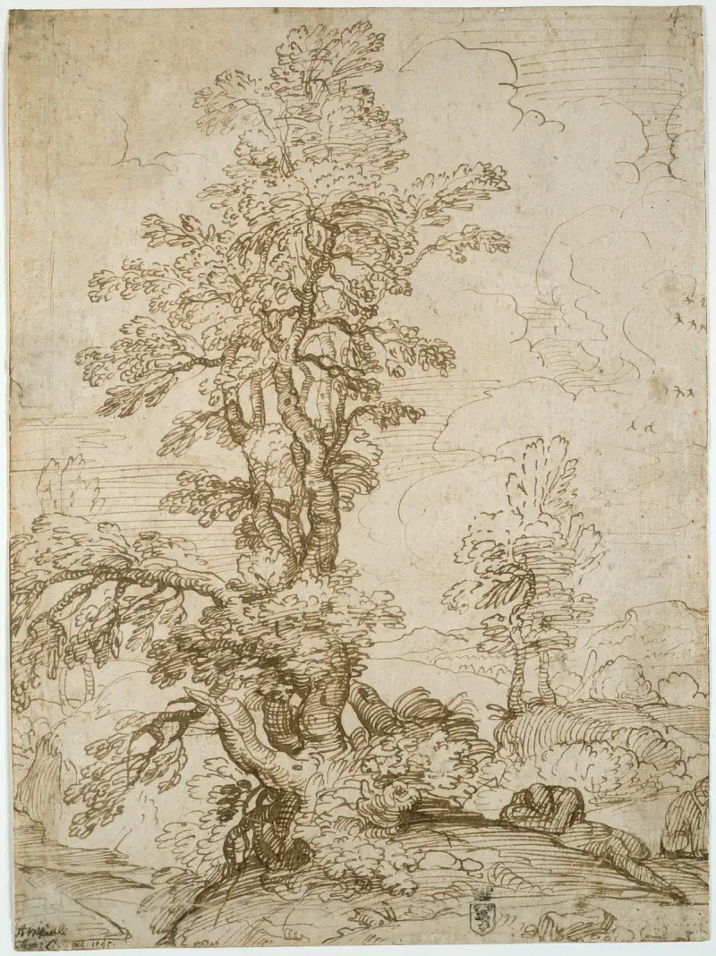 Landskap med sovande man under träd av Annibale Carracci