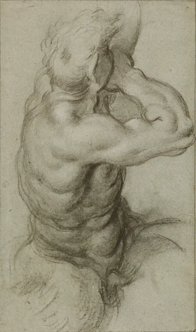 Study of Triton Blowing a Conch Shell av Annibale Carracci
