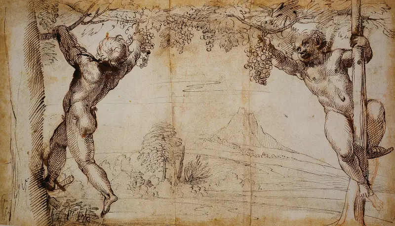 Två unga satyrer plockar druvor av Annibale Carracci