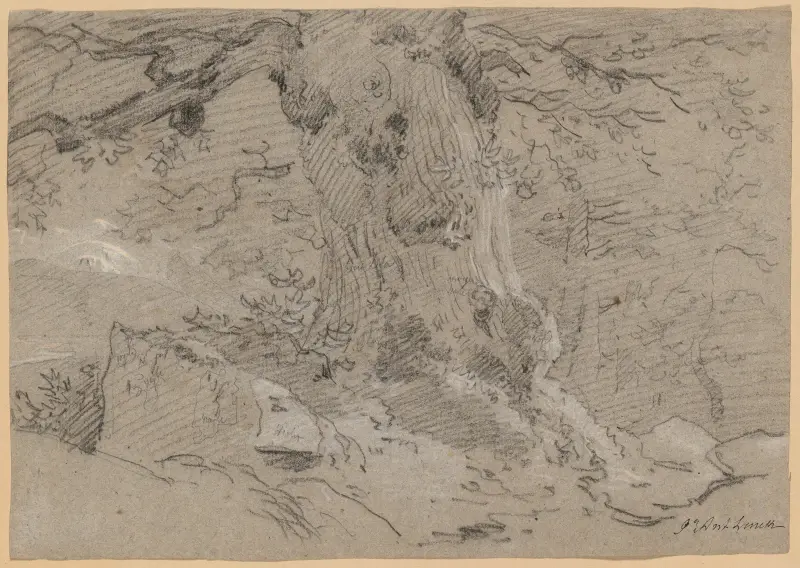 Studie starého kmene, Jean-Antoine Linck