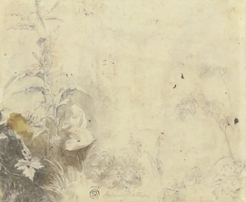 Rostliny, Jean-Antoine Watteau