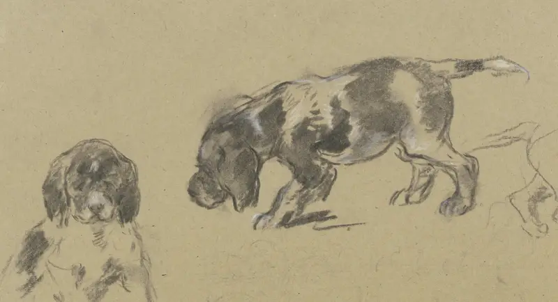 Studienblatt; junge Jagdhunde von Anton Burger
