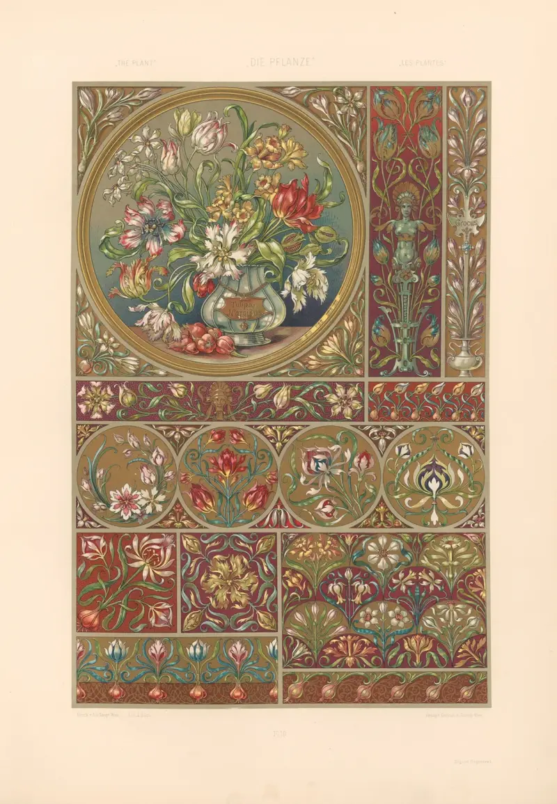 Växten i konst och hantverk (Die Pflanze in Kunst und Gewerbe), pl. 17 av Anton Seder