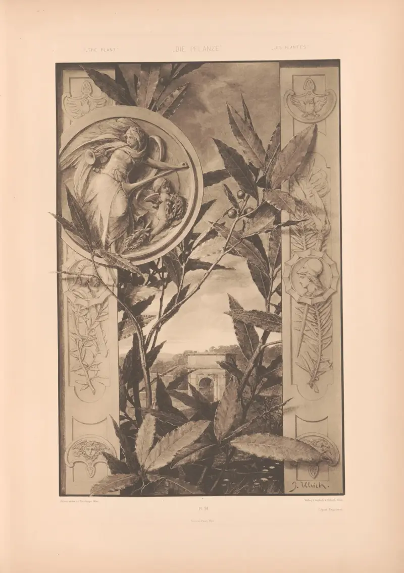 Die Pflanze in Kunst und Gewerbe (The Plant in Art and Industry) Pl.063 av Anton Seder