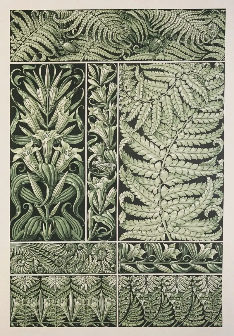 Växten i konst och hantverk, pl. 104 av Anton Seder