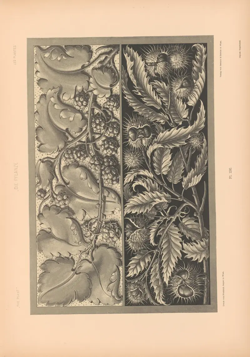 Die Pflanze in Kunst und Gewerbe (The Plant in Art and Industry) Pl.114 av Anton Seder