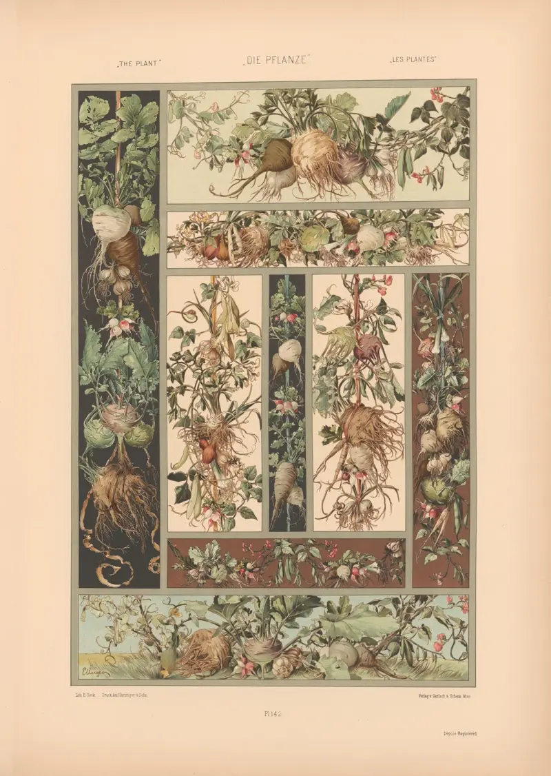 Die Pflanze in Kunst und Gewerbe, Taf. 120 von Anton Seder