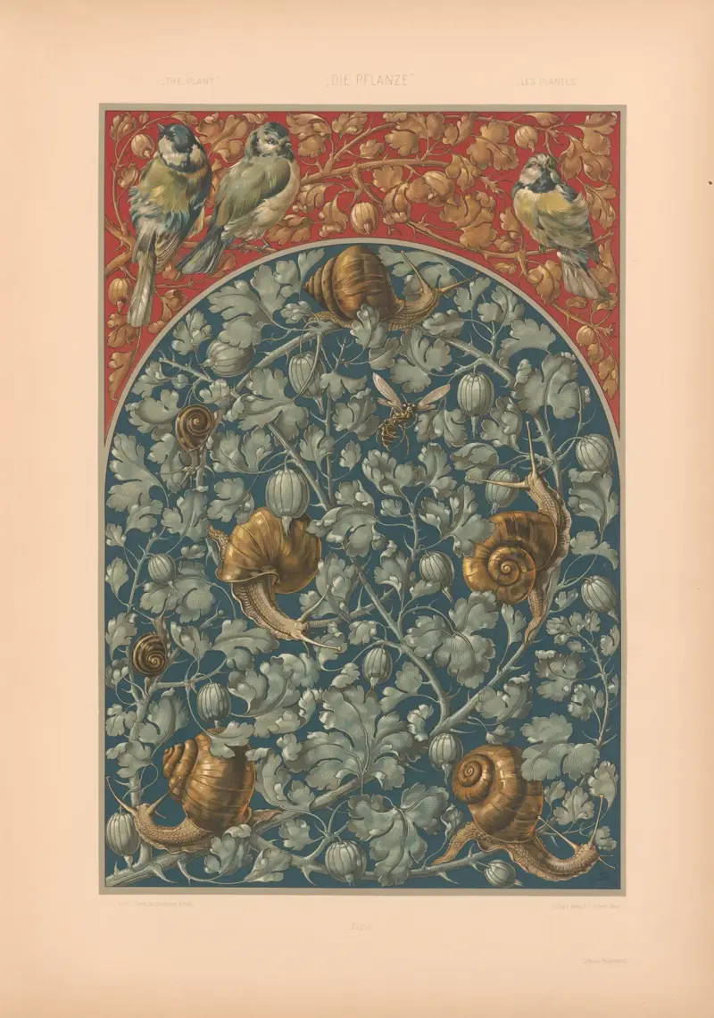 Die Pflanze in Kunst und Gewerbe (The Plant in Art and Industry) Pl.135 av Anton Seder
