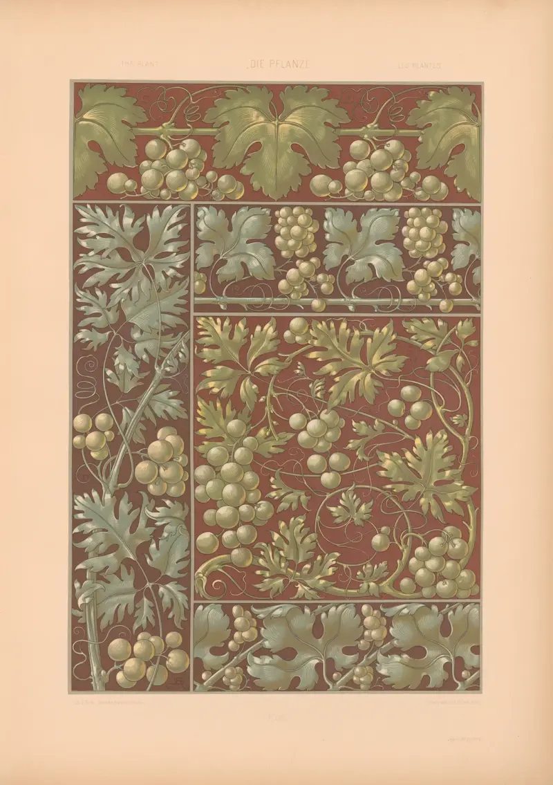 Die Pflanze in Kunst und Gewerbe (The Plant in Art and Industry) Pl.146 av Anton Seder