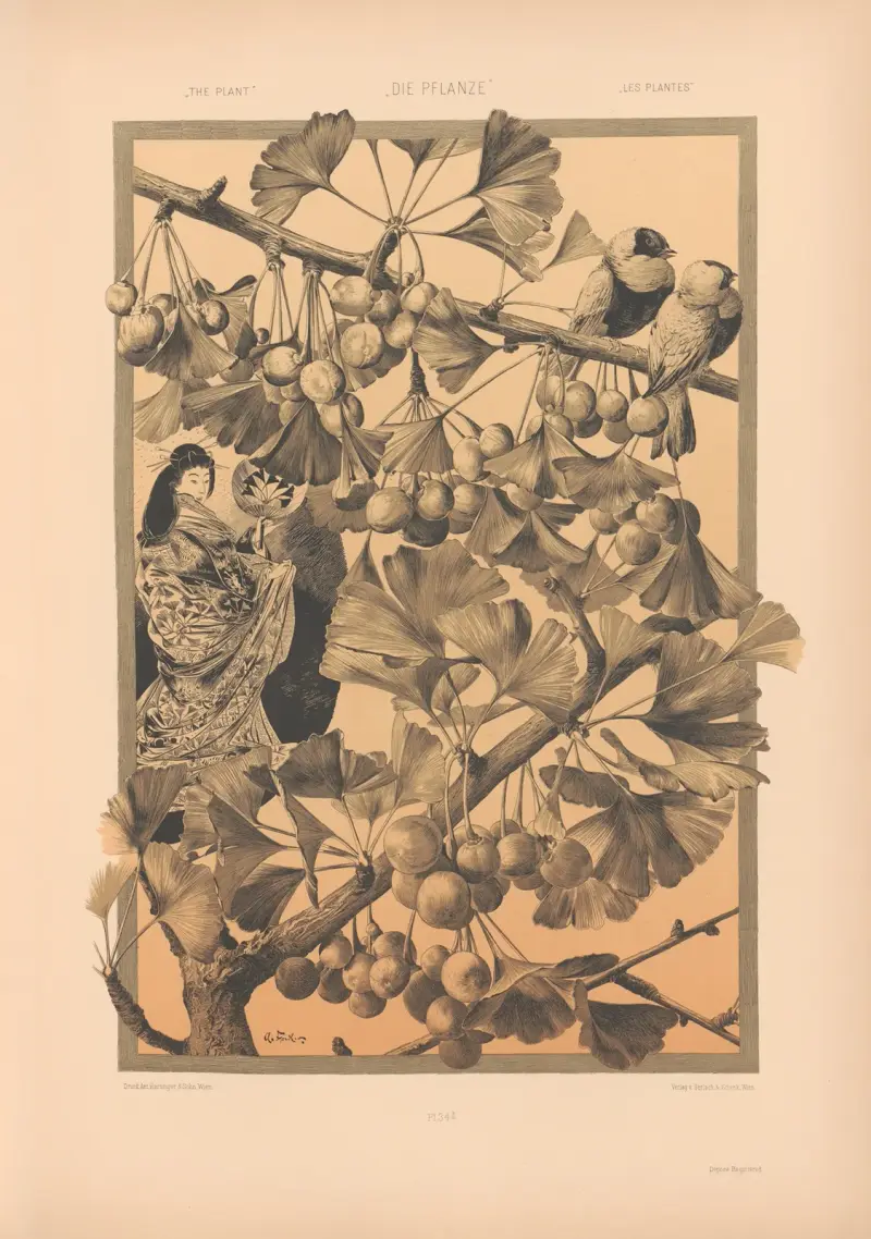 Die Pflanze in Kunst und Gewerbe (The Plant in Art and Industry) Pl.169 av Anton Seder