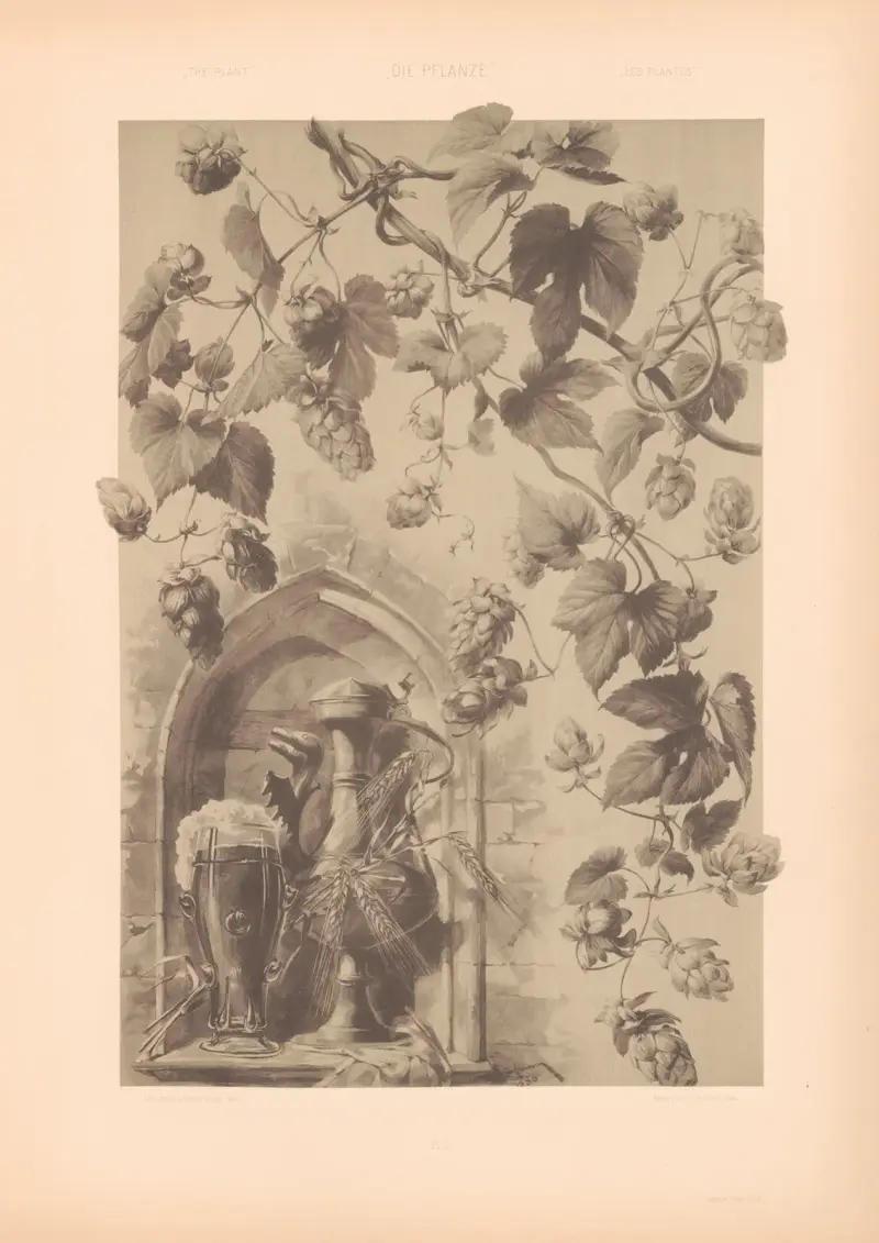 Die Pflanze in Kunst und Gewerbe (The Plant in Art and Industry) Pl.178 av Anton Seder
