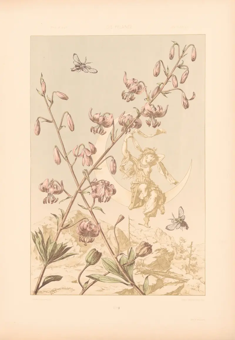 Växten i konst och hantverk (Die Pflanze in Kunst und Gewerbe), pl. 184 av Anton Seder