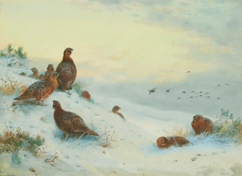 Säsongens slut av Archibald Thorburn