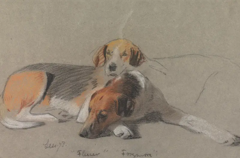 Hounds; Fleur and Frogmore av Archibald Thorburn