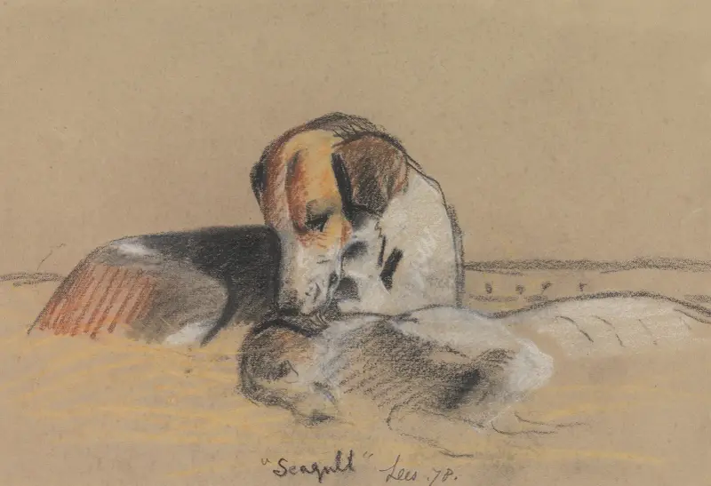 Hounds; Seagull av Archibald Thorburn