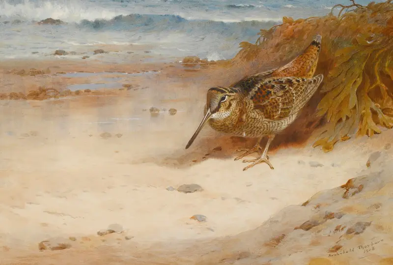 Hungry And Homeless av Archibald Thorburn