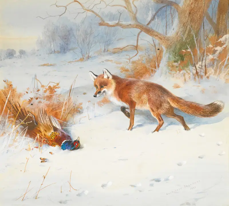 Overlooked By The Beaters av Archibald Thorburn