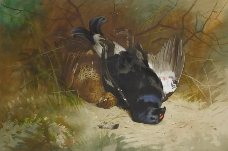 Stilleben med ett par orrar av Archibald Thorburn