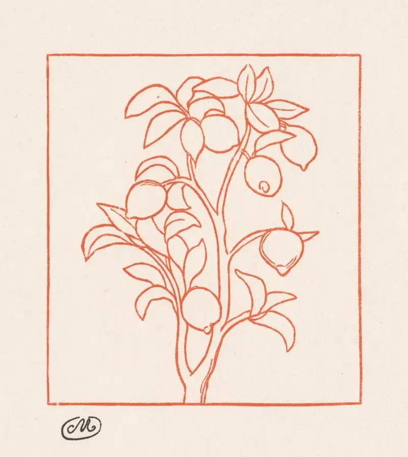 Georgica; Citronträd av Aristide Maillol