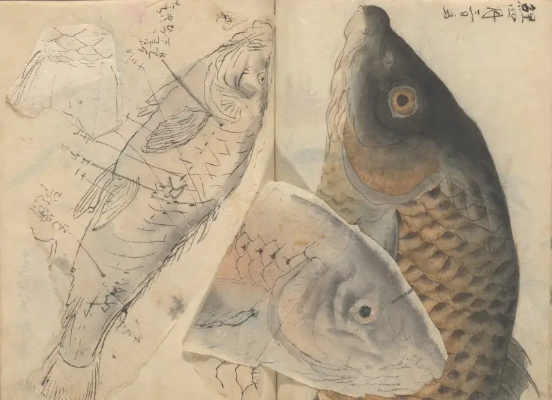 Sketchbook Pl.001 av Ariyoshi Kondo