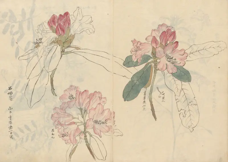 Skizzenbuch Taf. 024 von Ariyoshi Kondo