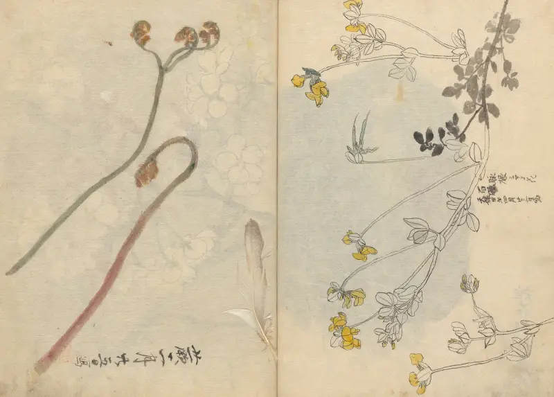 Skizzenbuch Taf. 026 von Ariyoshi Kondo