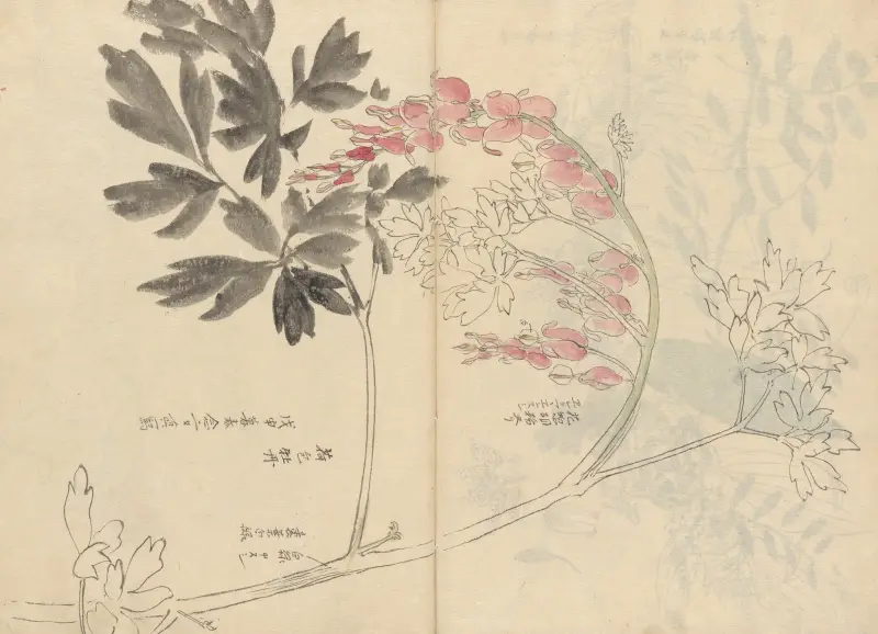 Skizzenbuch Taf. 028 von Ariyoshi Kondo