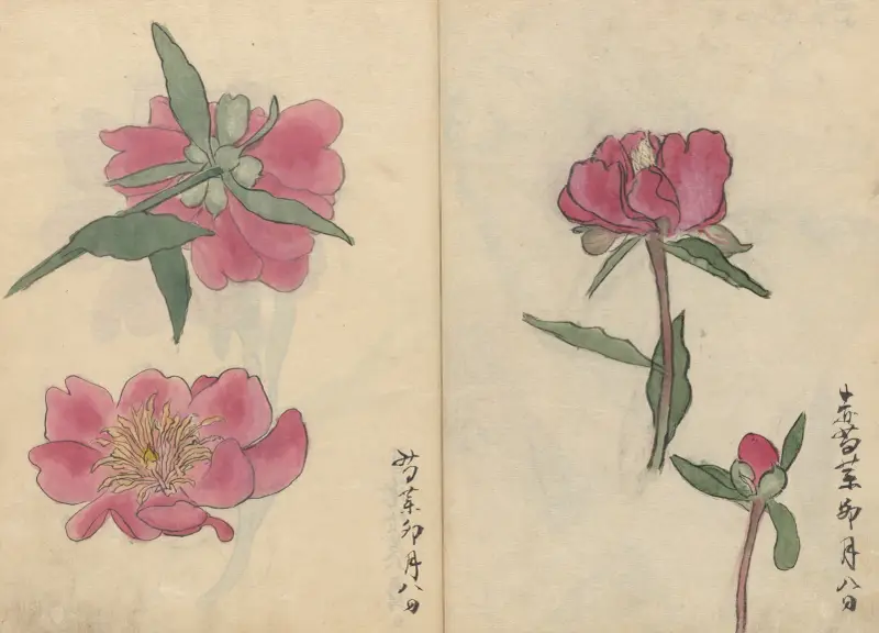 Skizzenbuch Taf. 032 von Ariyoshi Kondo