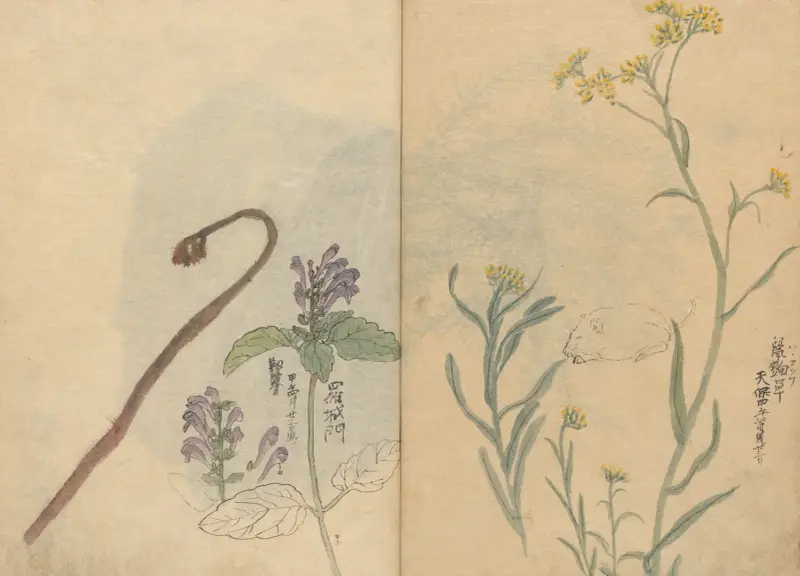 Skizzenbuch Taf. 033 von Ariyoshi Kondo