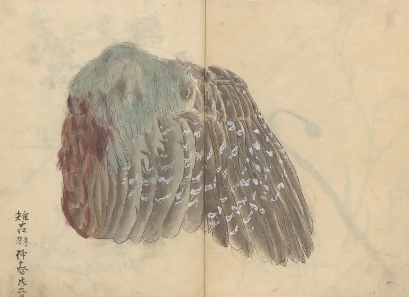 Sketchbook Pl.039 av Ariyoshi Kondo