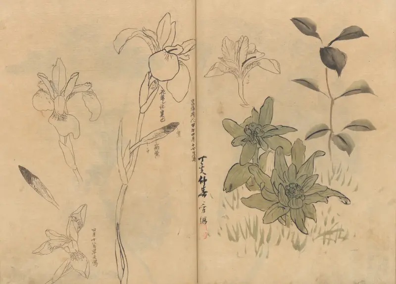 Sketchbook Pl.055 av Ariyoshi Kondo